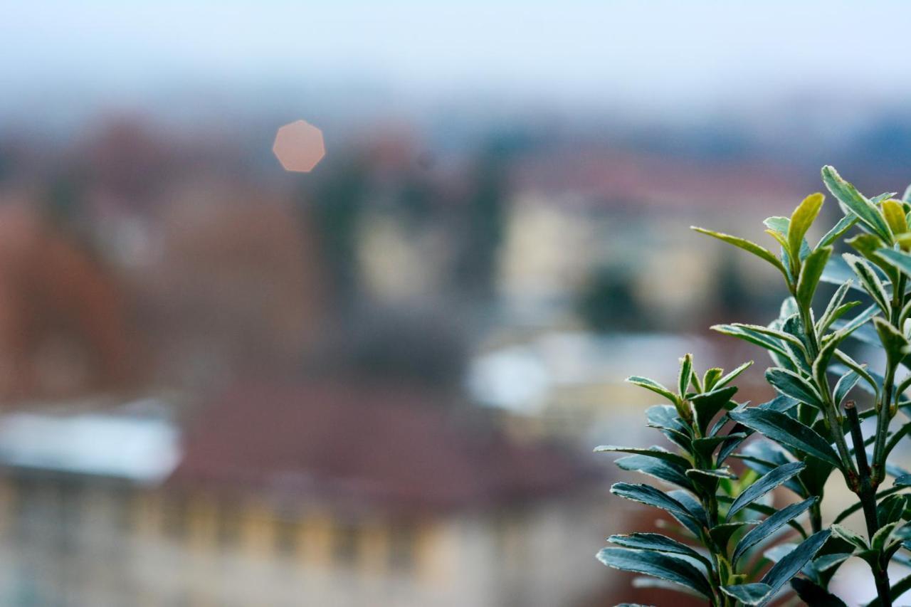 Sunny Side I Turin Suite Экстерьер фото